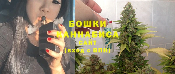крисы Баксан